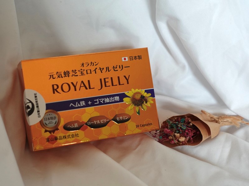 試用